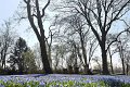 Fruehling2012   047